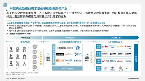 德勤咨询人工智能基础数据服务白皮书 数据处理服务的核心价值与实施路径